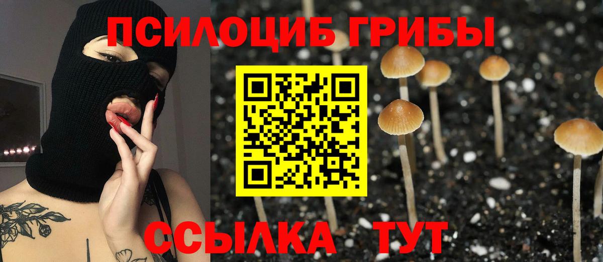 Псилоцибиновые грибы MAGIC MUSHROOMS  Вход с VPN  Менделеевск  Псилоцибиновые грибы прущие грибы 
